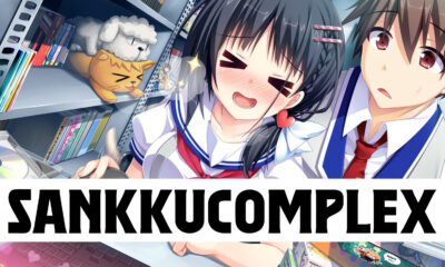 Sankkucomplex